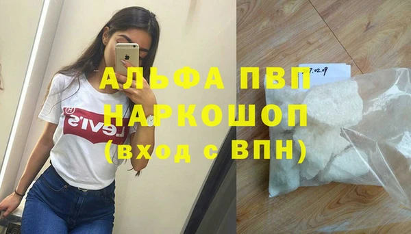 прущий лед Новозыбков
