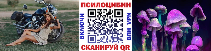дарк нет формула Учалы Псилоцибиновые грибы Cubensis купить закладку