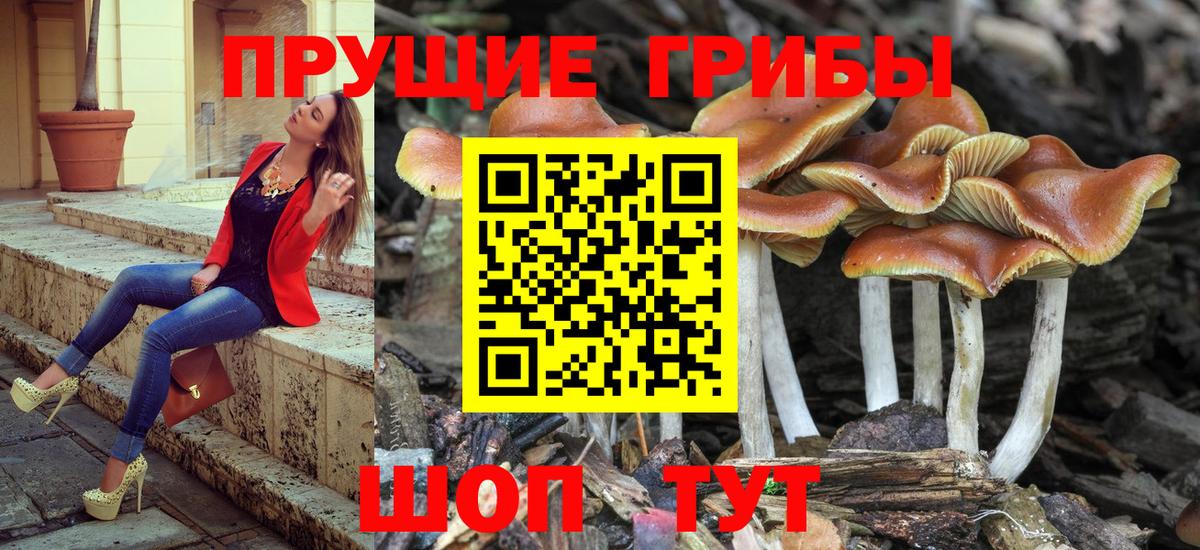 Учалы  Псилоцибиновые грибы Psilocybine cubensis  Псилоцибиновые грибы GOLDEN TEACHER  продажа наркотиков  Вход с VPN 